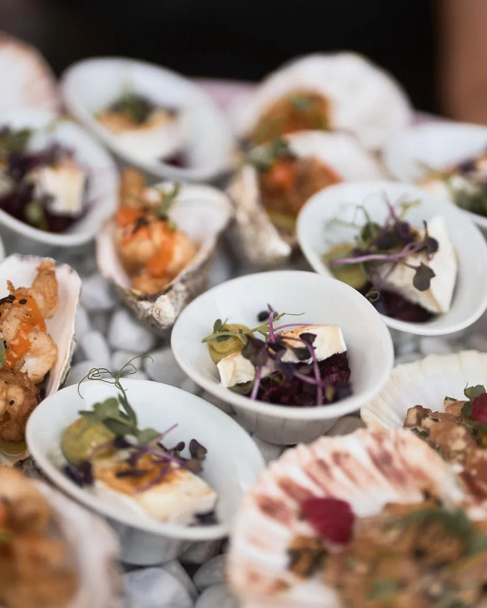 Fingerfood auf Muscheln mit Garnelen, Tatar und Ziegenkäse